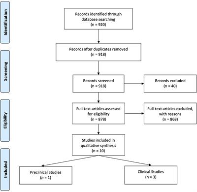 Therapeutic Renin Inhibition in Diabetic Nephropathy—A Review of the Physiological Evidence